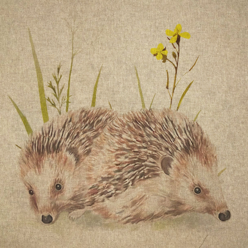 Cushion Picture Panel, Hedgehogs