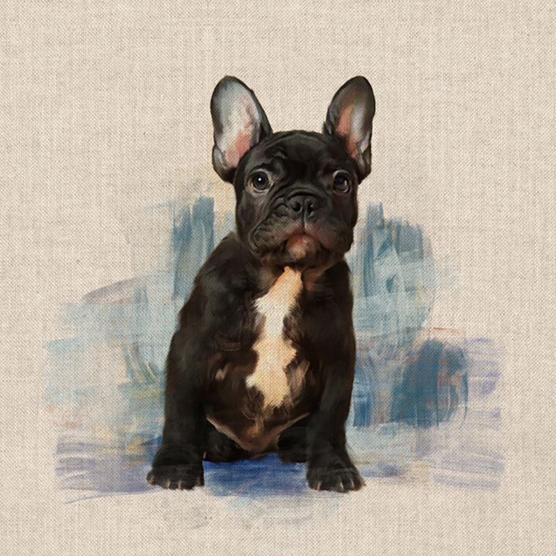 Cushion Picture Panel, French Bull Dog