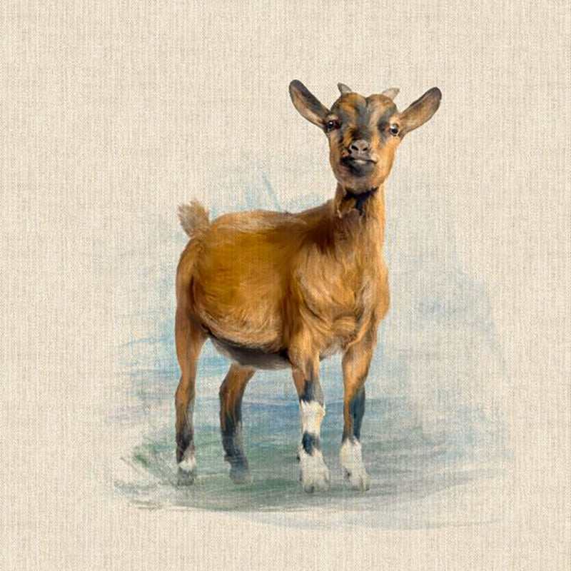 Cushion Picture Panel, Goat