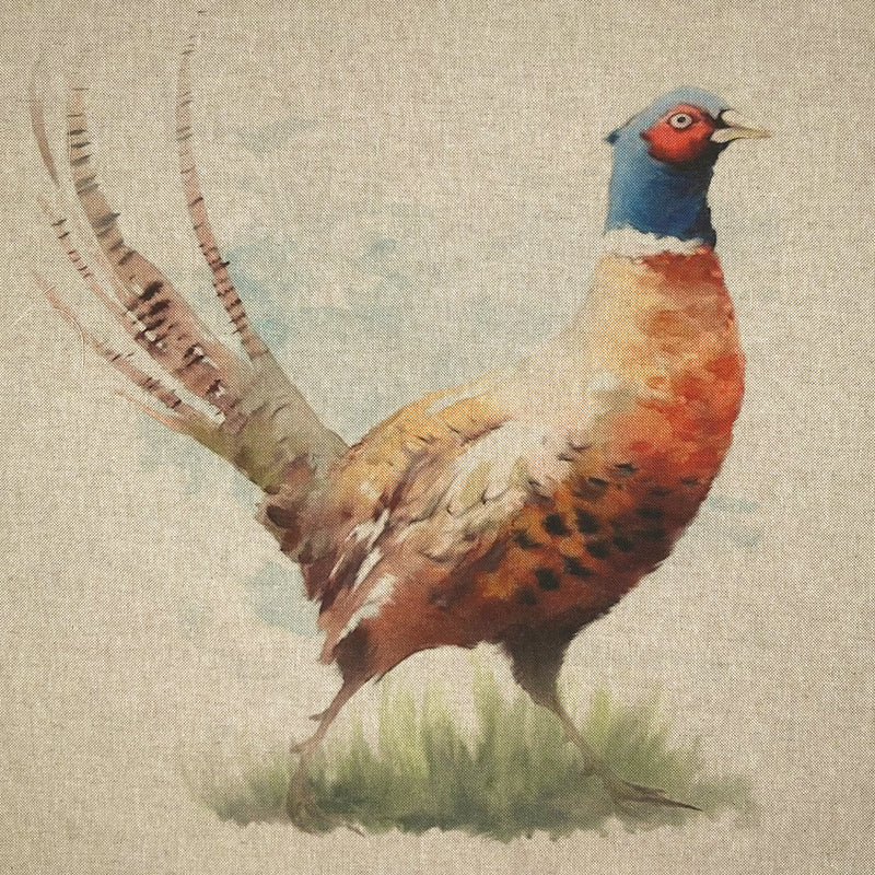 Cushion Picture Panel, Pheasant