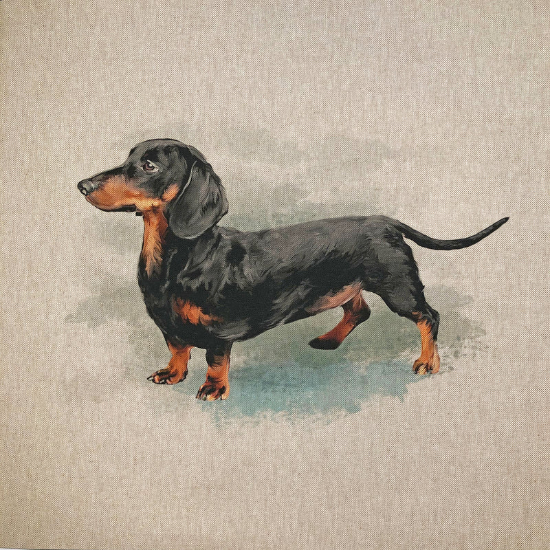 Cushion Picture Panel, Dachshund Dogs