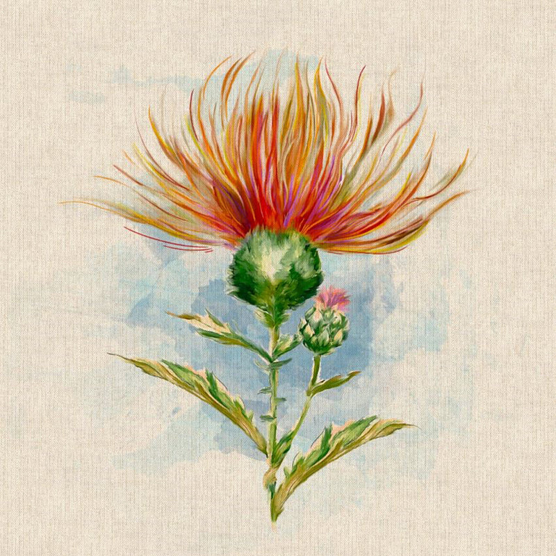 Coussin Photo Panel, Highland Thistle