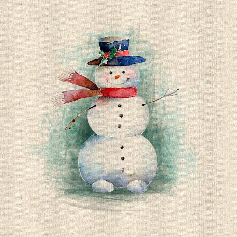 Cushion Picture Panel, Snowman